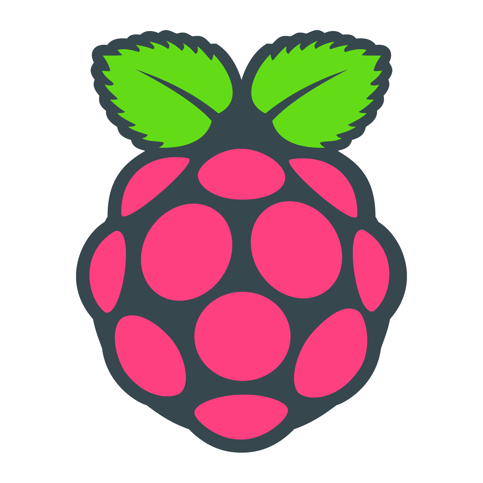 :raspberrypi: