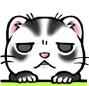 :ferret_annoyed: