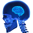 :smallbrain: