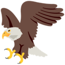 :googleeagle: