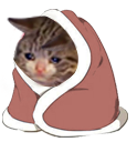 :comfycatsad:
