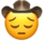 :sadcowboy: