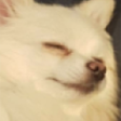 :mmmm: