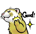 :ferret_good: