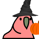 :pumpkinparrot: