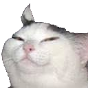 :smug_cat: