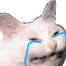:sadcat: