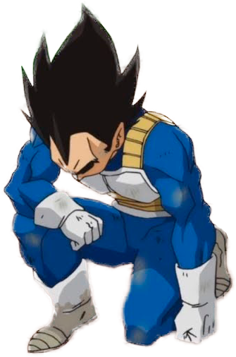 :vegeta_kneel: