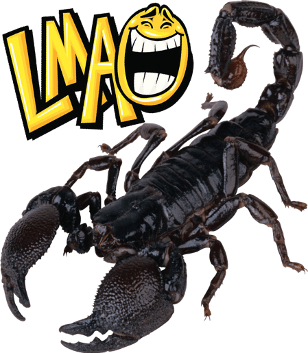 :scorpion_lmao: