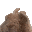:bunnydance: