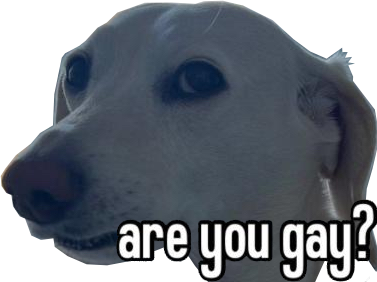 :dog_are_you_gay: