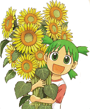 :yotsuba_sunflower:
