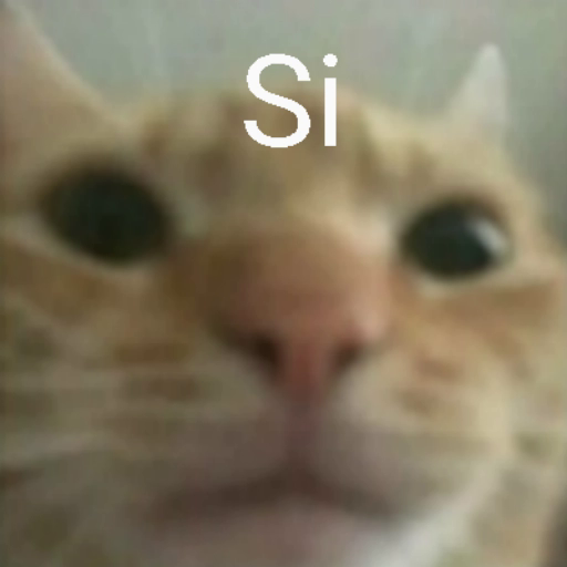 :cat_si: