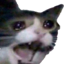 :AAA: