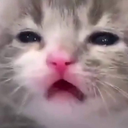 :aaa: