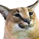 :floppaBIG: