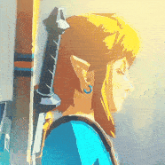 :alinkbotw8: