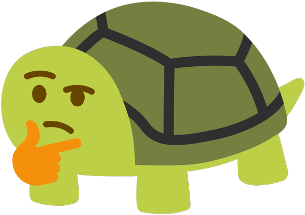 :thinking_turtle: