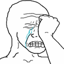 :wojak_facepalm_cry: