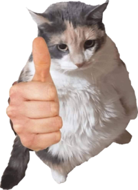 :cat_thumbs_up:
