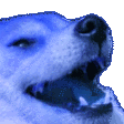 :bluedoggo: