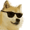 :doge_dance_cool: