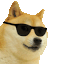 :doge_dance_cool2: