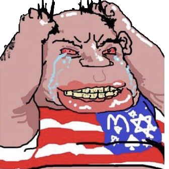 :le56percent_burger2: