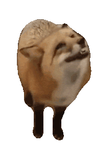 :fox: