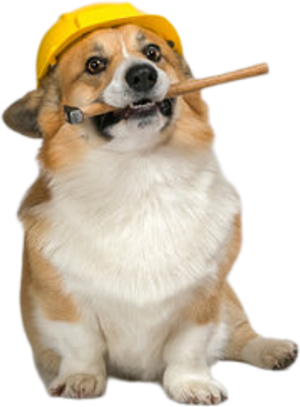 :hammer_corgi: