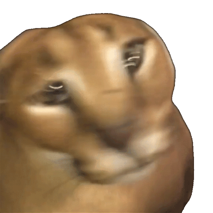:floopa_spin: