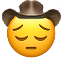 :sadcowboy: