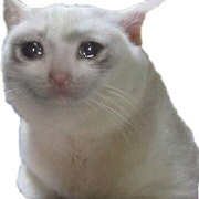 :catcry: