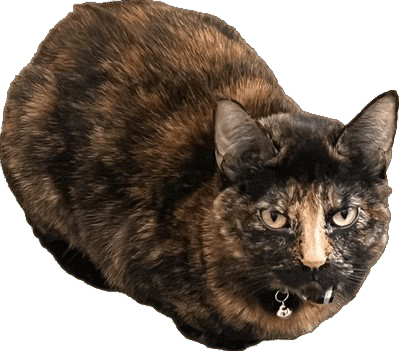 :autumn_loaf: