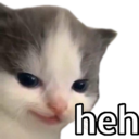 :hehcat: