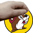 :buceepet: