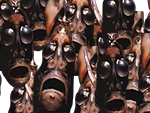 :fish_nigger3: