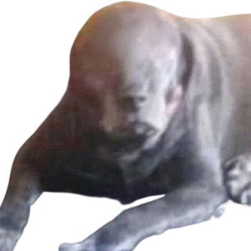 :cs_dog2: