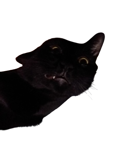 :Whyhello: