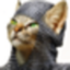 :crusaderkitty: