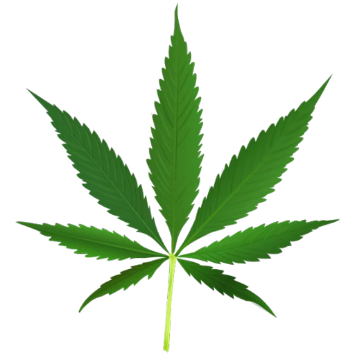 :drugs_26: