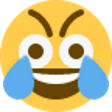 :uglycrying:
