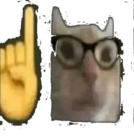 :cat_nerd: