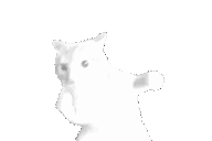 :wiggapunchcat: