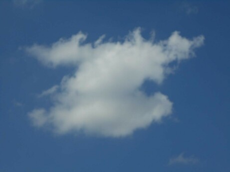 The sky