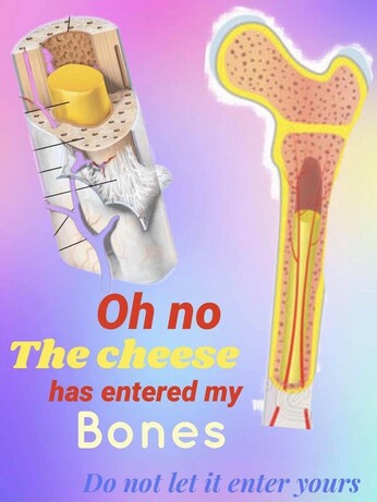 cheesebone.jpg