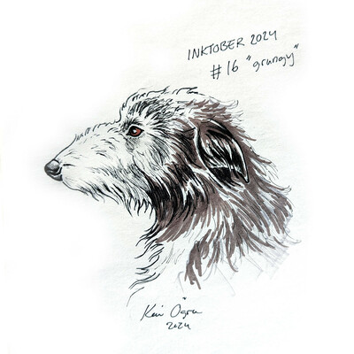 Pen and marker sketch of the head of a Scottish Deerhound in profile