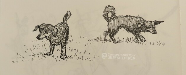 Black Fineliner on paper

Sketches of a dark dachshund-like dog

Left sketch: dog in front view, standing

Right sketch: dog in side view, walking