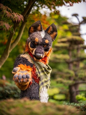 Profile view of a Blue Heeler fursuiter, head turned and looking directly at the viewer, holding out his paw palm up. Photo taken in the Planten on Blomen park, Hamburg.