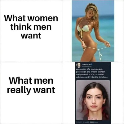 whatmenreallywant.jpg